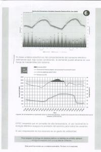 EPEC Inestabilidad sistema 16 de enero 2