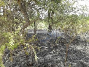 incendio 2