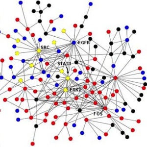 interaction_network